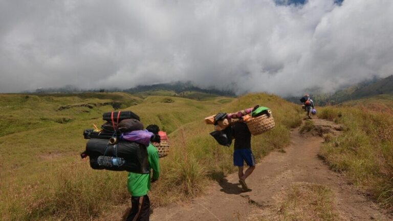 backpackers går i naturen med väskor